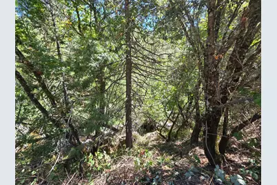 17378 Scopar Road, Grass Valley, CA 95949 - Photo 15