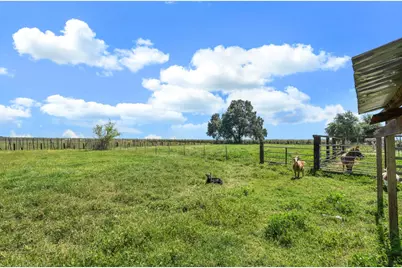 10450 Walnut Grove Road, Thornton, CA 95686 - Photo 51