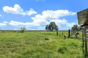 10450 Walnut Grove Rd, Thornton, CA 95686 - Photo 51