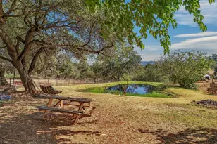 12540 Lilac Way, Loma Rica, CA 95901 - Photo 43