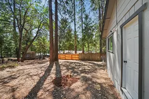 27094 Barton Rd, Pioneer, CA 95666 - Photo 3