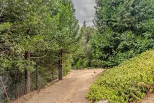 12511 Tabeaud Rd, Pine Grove, CA 95665 - Photo 53