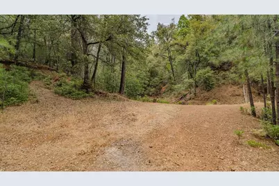 12511 Tabeaud Road, Pine Grove, CA 95665 - Photo 77