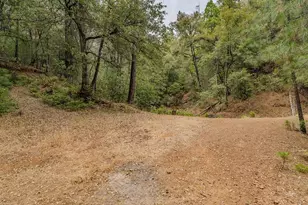 12511 Tabeaud Rd, Pine Grove, CA 95665 - Photo 77