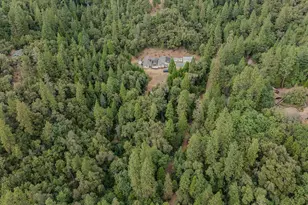 12511 Tabeaud Rd, Pine Grove, CA 95665 - Photo 85