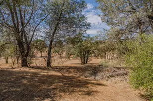 4863 Messing Rd, Burson, CA 95252 - Photo 33