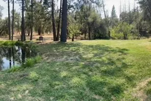 10779 Newtown Rd, Nevada City, CA 95959 - Photo 55