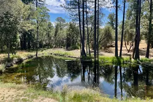 10779 Newtown Rd, Nevada City, CA 95959 - Photo 53