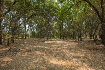 10329 Township Road, Live Oak, CA 95953 - Photo 65