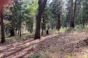5869 Pony Express Trail, Pollock Pines, CA 95726 - Photo 1
