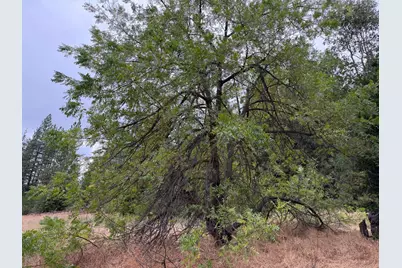 27999 Big Dipper Road, Foresthill, CA 95631 - Photo 11