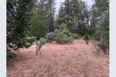 27999 Big Dipper Road, Foresthill, CA 95631 - Photo 7