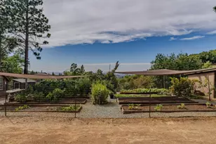 7806 Doster Rd, Mountain Ranch, CA 95246 - Photo 3