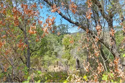 0 Browns Rd, Placerville, CA 95667 - Photo 13