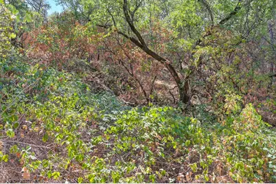 0 Browns Rd, Placerville, CA 95667 - Photo 21