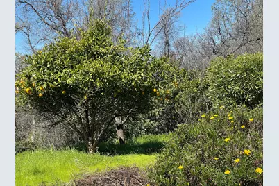 3190 Azucena Court, Coulterville, CA 95311 - Photo 11