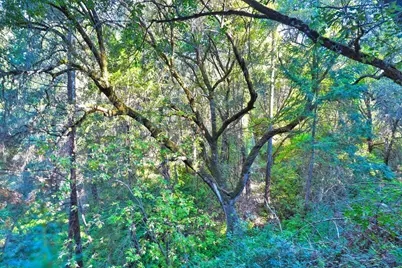 0 Gold Creek Lane, Diamond Springs, CA 95619 - Photo 9