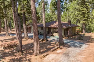19155 Pine Dr, Pioneer, CA 95666 - Photo 77