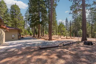 19155 Pine Dr, Pioneer, CA 95666 - Photo 47