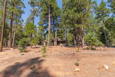 19155 Pine Drive, Pioneer, CA 95666 - Photo 45