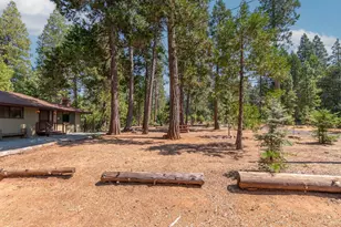 19155 Pine Dr, Pioneer, CA 95666 - Photo 3