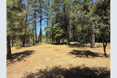 20710 Chalk Bluff Road, Grass Valley, CA 95945 - Photo 9
