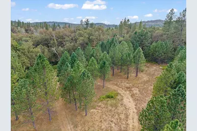 9398 Yuba Ranch Way, Oregon House, CA 95962 - Photo 9