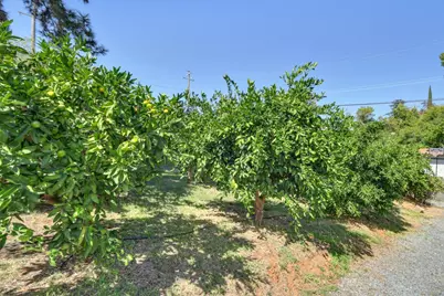 601 Peach Lane, Newcastle, CA 95658 - Photo 71
