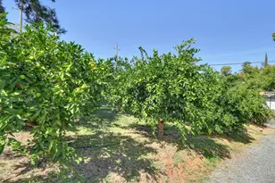 601 Peach Ln, Newcastle, CA 95658 - Photo 71