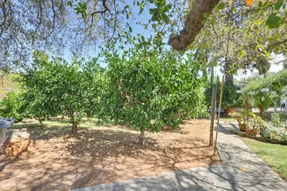 601 Peach Lane, Newcastle, CA 95658 - Photo 75