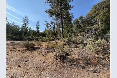 22827 N Tuolumne Road, Twain Harte, CA 95383 - Photo 31