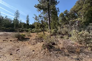 22827 N Tuolumne Rd, Twain Harte, CA 95383 - Photo 31