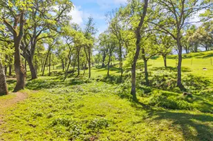 4997 Carbondale Rd, Plymouth, CA 95669 - Photo 5