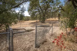307 Lefevre Ln, Bangor, CA 95914 - Photo 49
