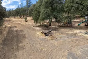 307 Lefevre Ln, Bangor, CA 95914 - Photo 39