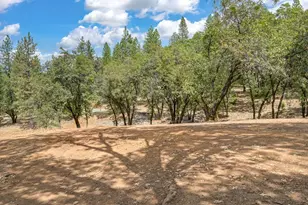 645 Ponderosa Way, Colfax, CA 95713 - Photo 61