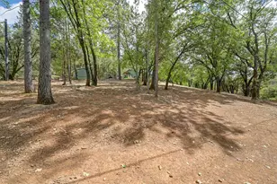 645 Ponderosa Way, Colfax, CA 95713 - Photo 63