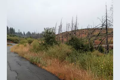 7290 Grizzly Creek Drive, Grizzly Flats, CA 95636 - Photo 11
