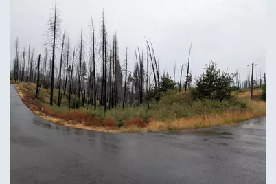 7290 Grizzly Creek Drive, Grizzly Flats, CA 95636 - Photo 1