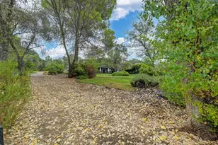 8555 Irish Ln, Newcastle, CA 95658 - Photo 87