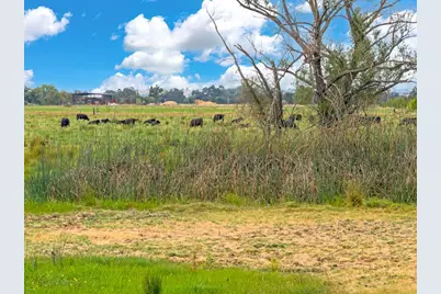1328 Silver Spur Circle, Lincoln, CA 95648 - Photo 41