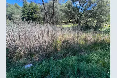 12661 Krosens Road, Marysville, CA 95901 - Photo 57