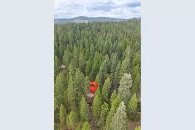3131 Shoshone Drive, Camp Connell, CA 95223 - Photo 45