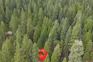 3131 Shoshone Dr, Camp Connell, CA 95223 - Photo 45