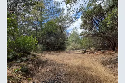 19606 Valley Vista Way, Penn Valley, CA 95946 - Photo 15