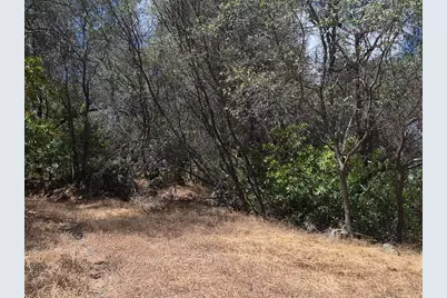 19606 Valley Vista Way, Penn Valley, CA 95946 - Photo 11