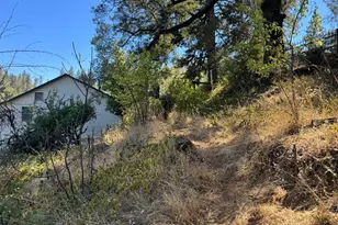 25 Foreman Creek Rd, Berry Creek, CA 95916 - Photo 43