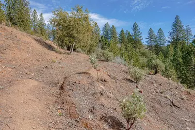 5776 Prospector Lane, Murphys, CA 95247 - Photo 13