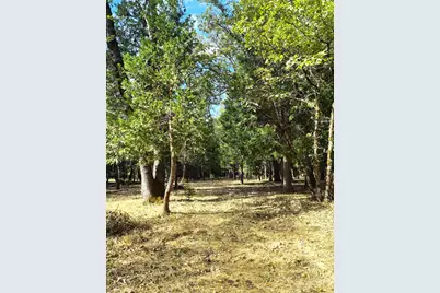 13117 Madrone Forest Drive, Nevada City, CA 95959 - Photo 3