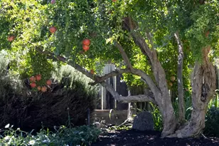 6400 Bearden Ln, Modesto, CA 95357 - Photo 7